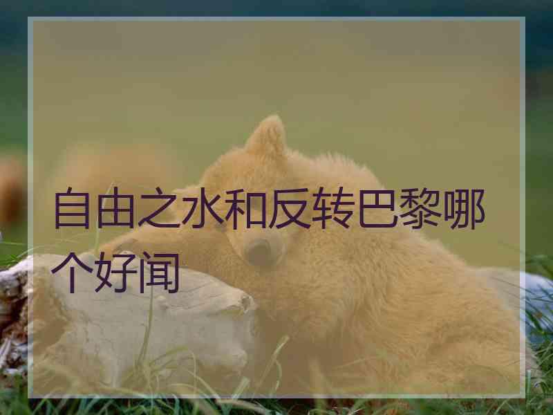 自由之水和反转巴黎哪个好闻