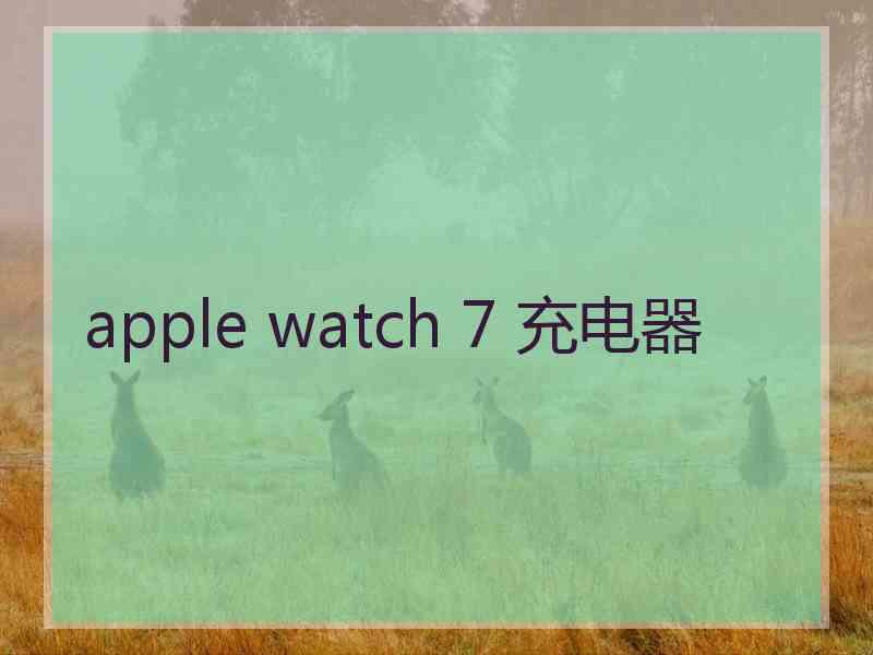 apple watch 7 充电器