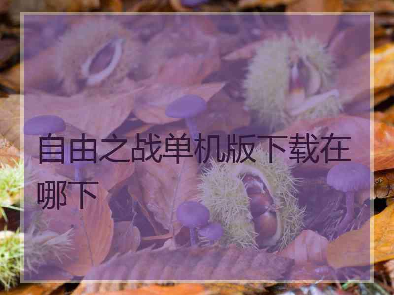 自由之战单机版下载在哪下