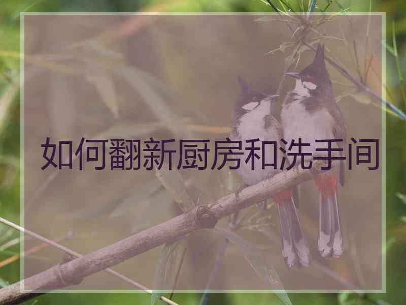 如何翻新厨房和洗手间