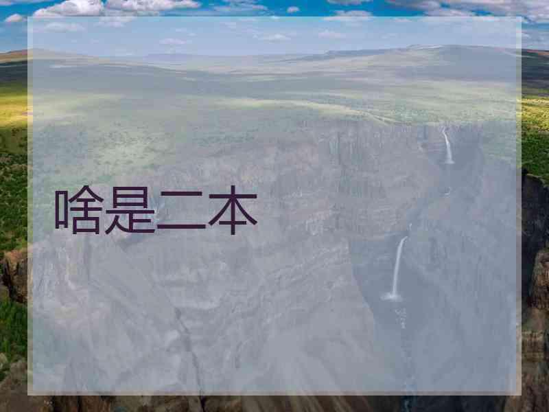 啥是二本