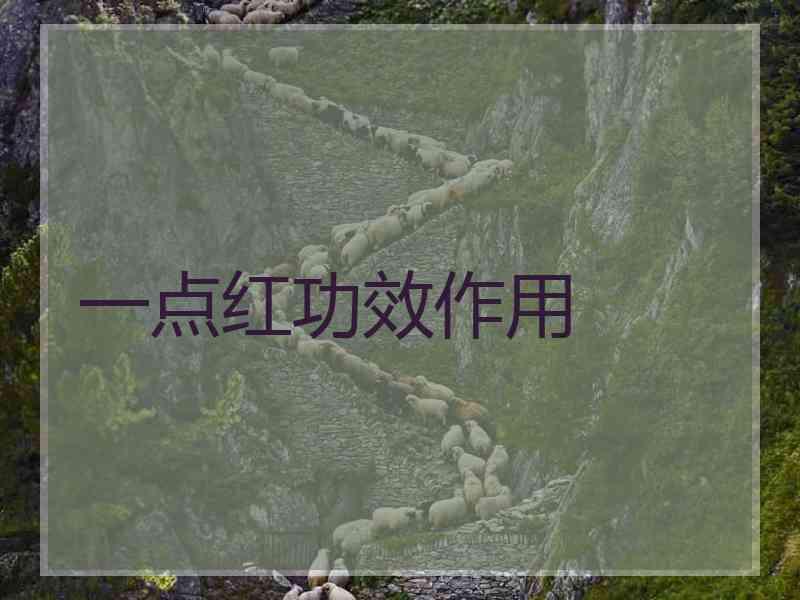 一点红功效作用