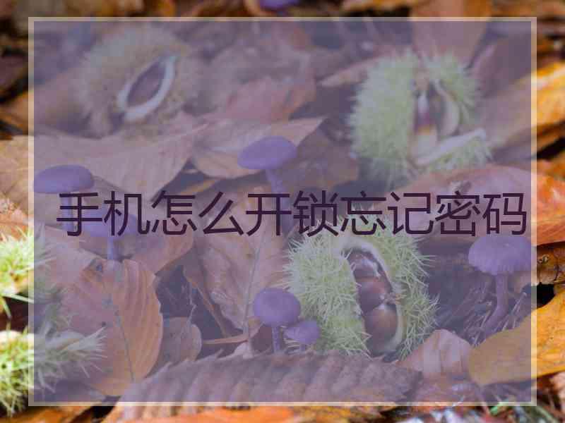 手机怎么开锁忘记密码