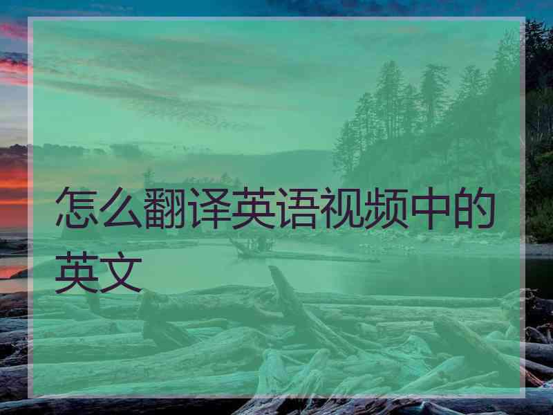 怎么翻译英语视频中的英文
