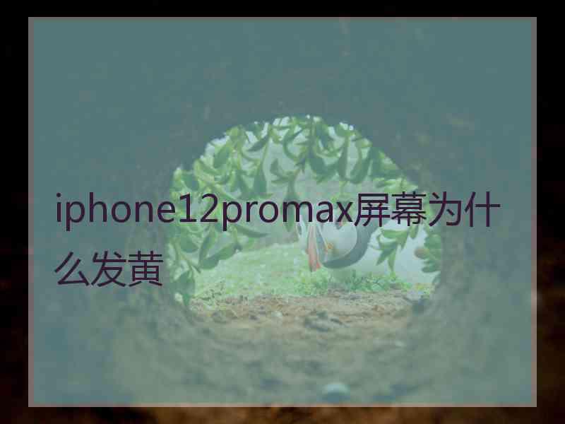 iphone12promax屏幕为什么发黄