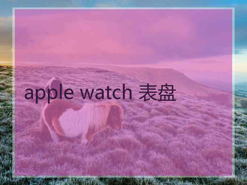 apple watch 表盘