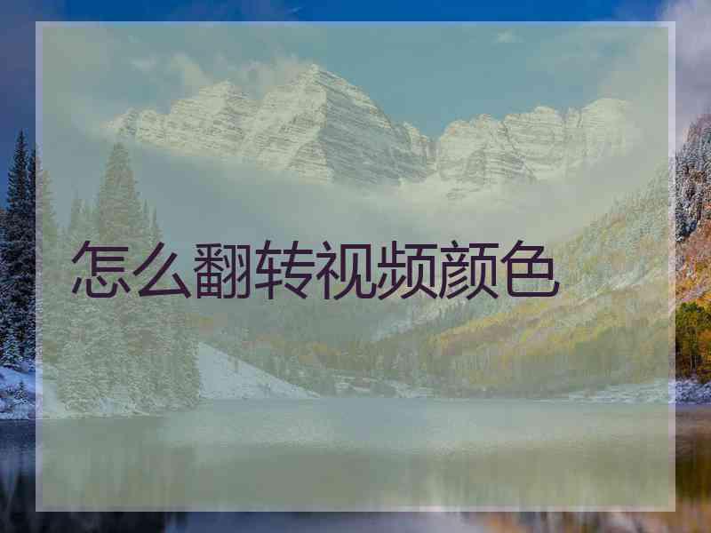 怎么翻转视频颜色