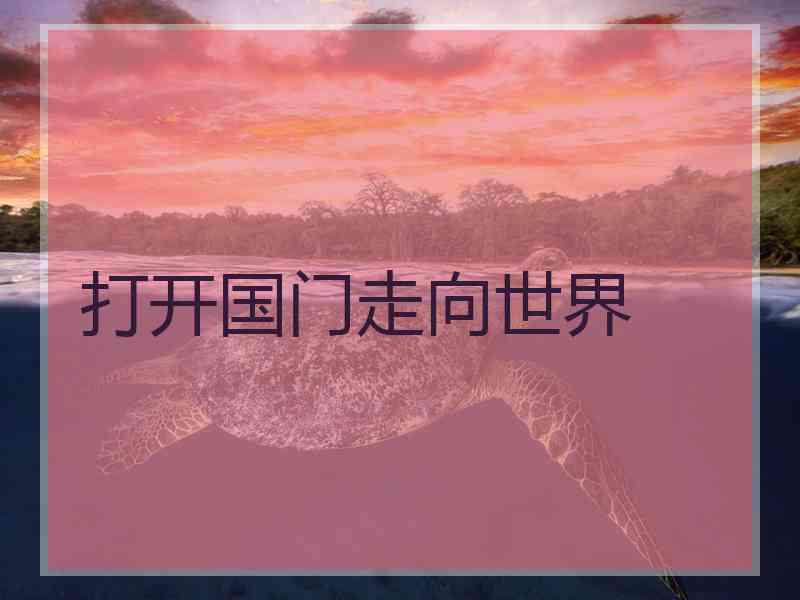 打开国门走向世界