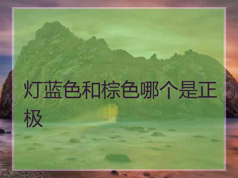灯蓝色和棕色哪个是正极