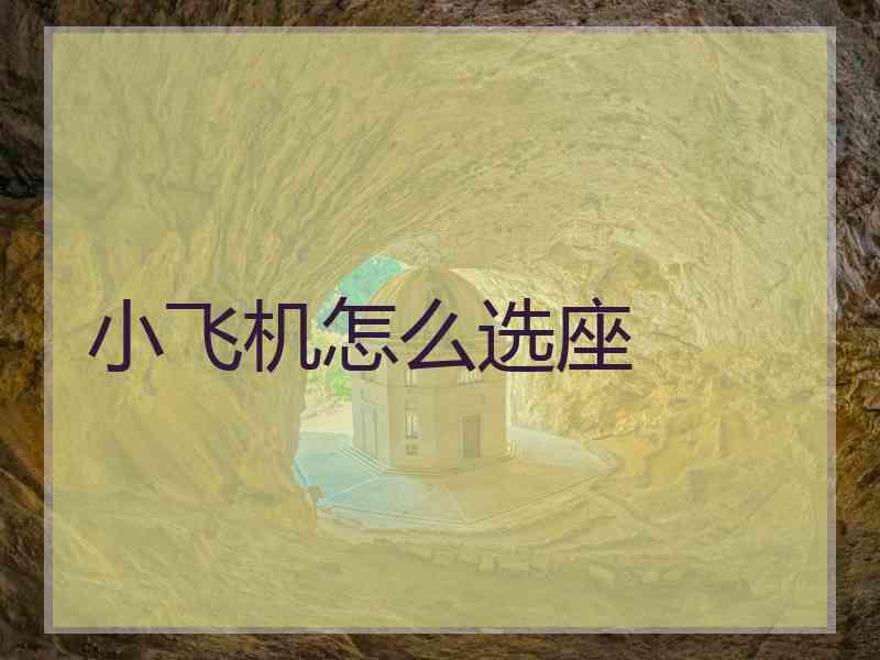 小飞机怎么选座