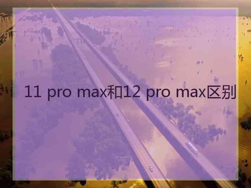11 pro max和12 pro max区别