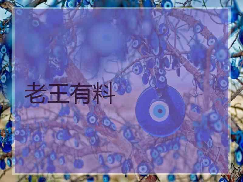 老王有料