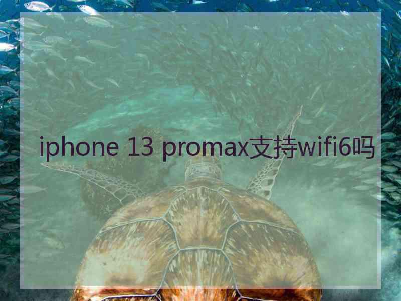 iphone 13 promax支持wifi6吗