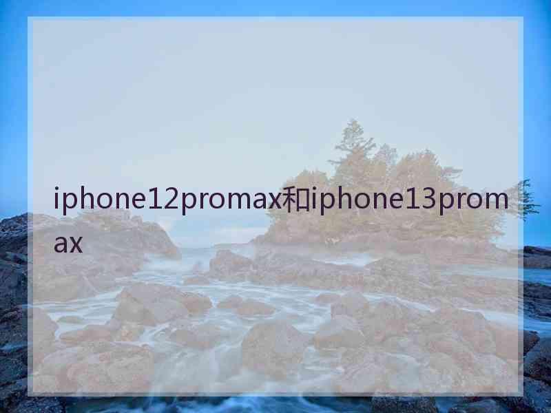 iphone12promax和iphone13promax