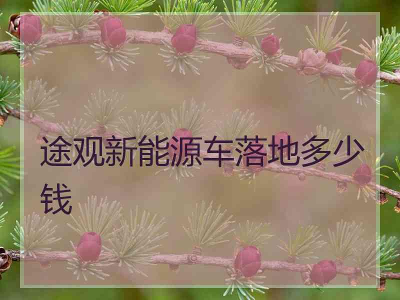 途观新能源车落地多少钱