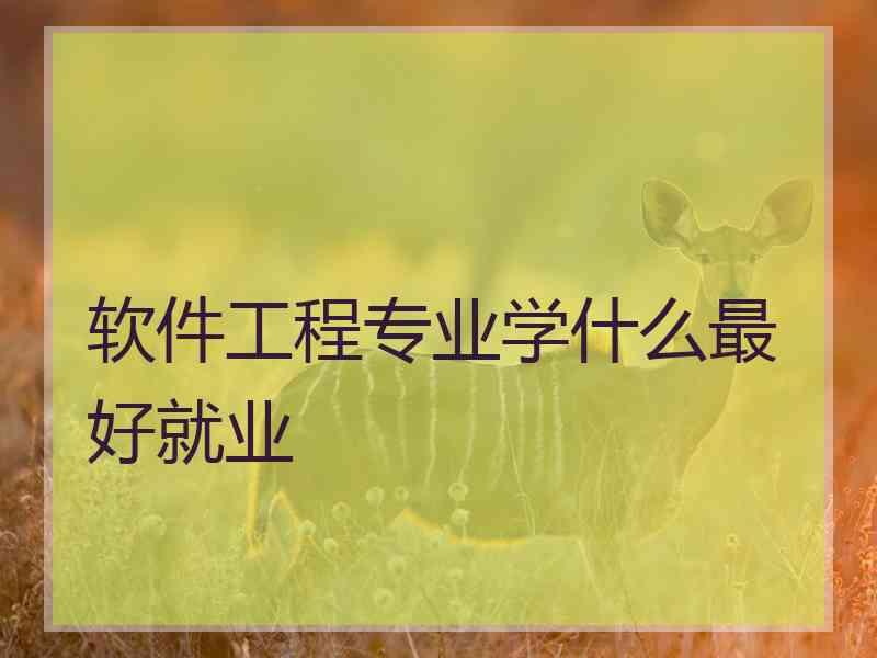 软件工程专业学什么最好就业