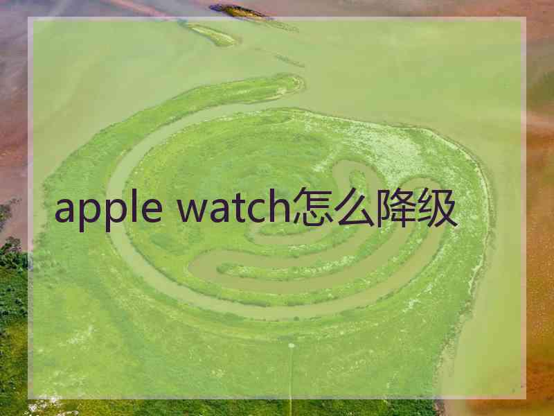 apple watch怎么降级