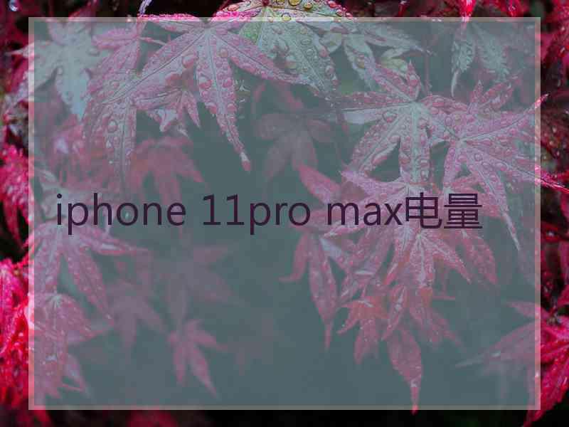 iphone 11pro max电量