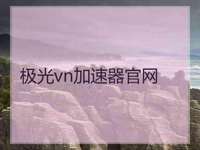 极光vn加速器官网