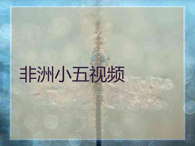 非洲小五视频