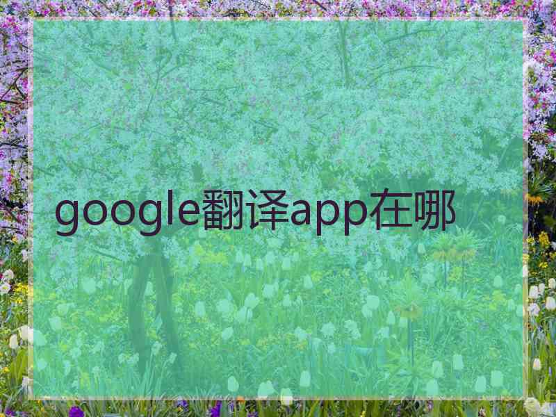 google翻译app在哪