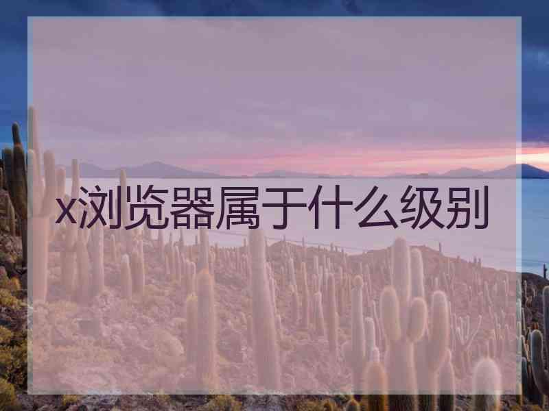 x浏览器属于什么级别