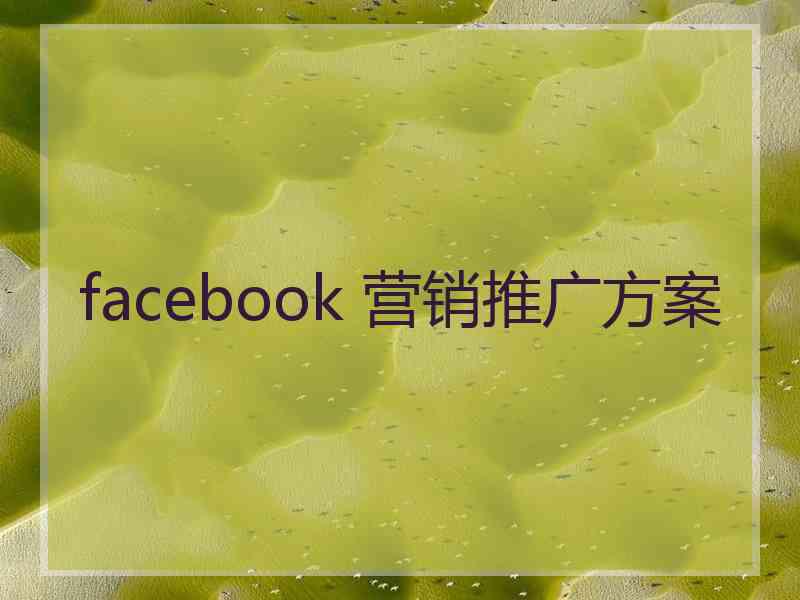 facebook 营销推广方案
