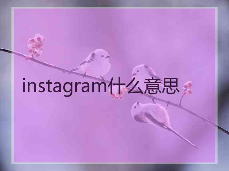 instagram什么意思