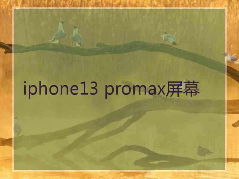 iphone13 promax屏幕
