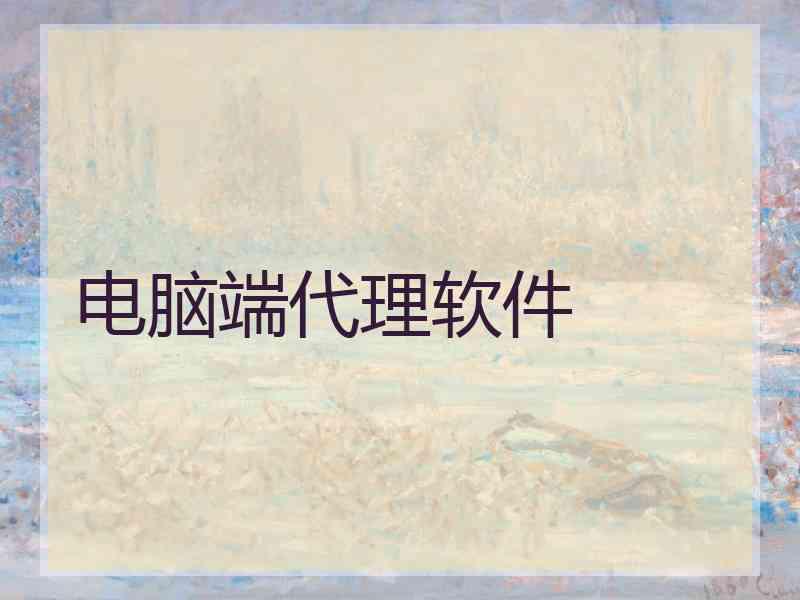 电脑端代理软件