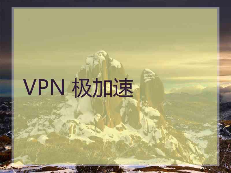 VPN 极加速