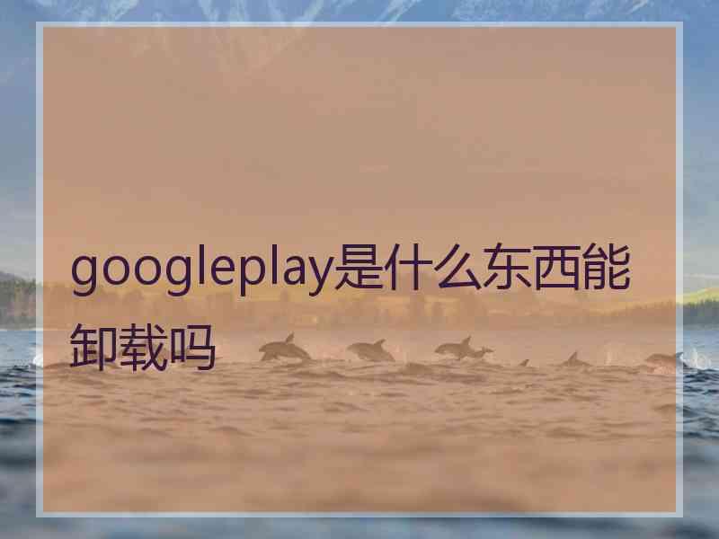googleplay是什么东西能卸载吗