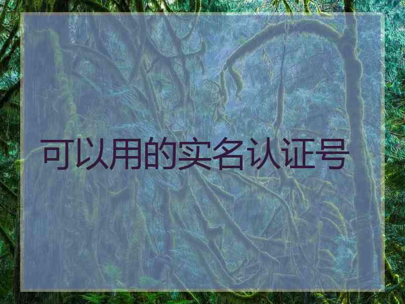 可以用的实名认证号