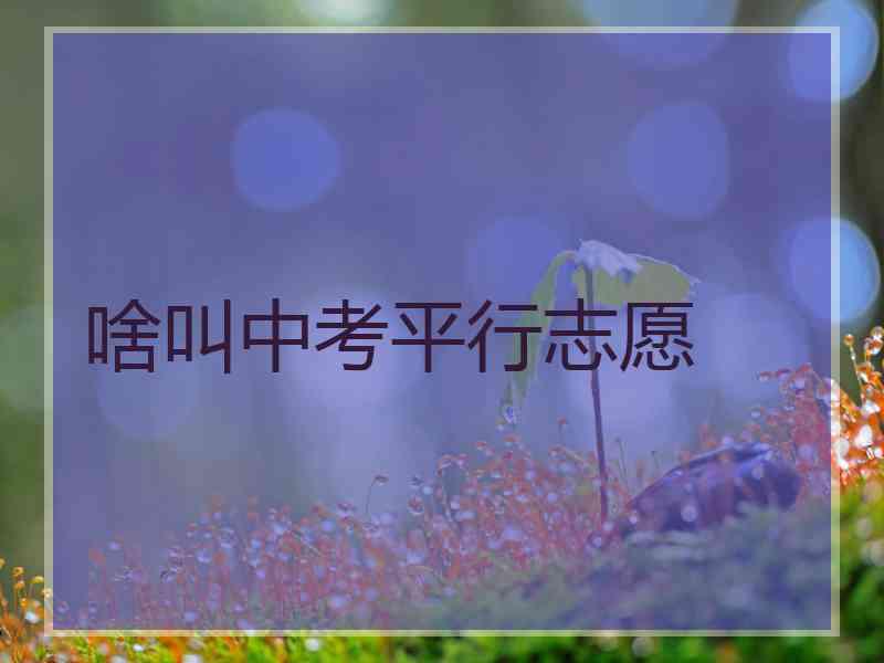 啥叫中考平行志愿