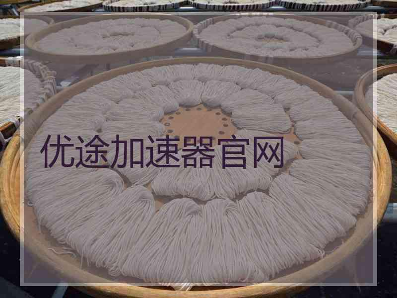 优途加速器官网