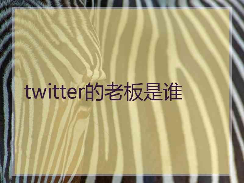 twitter的老板是谁