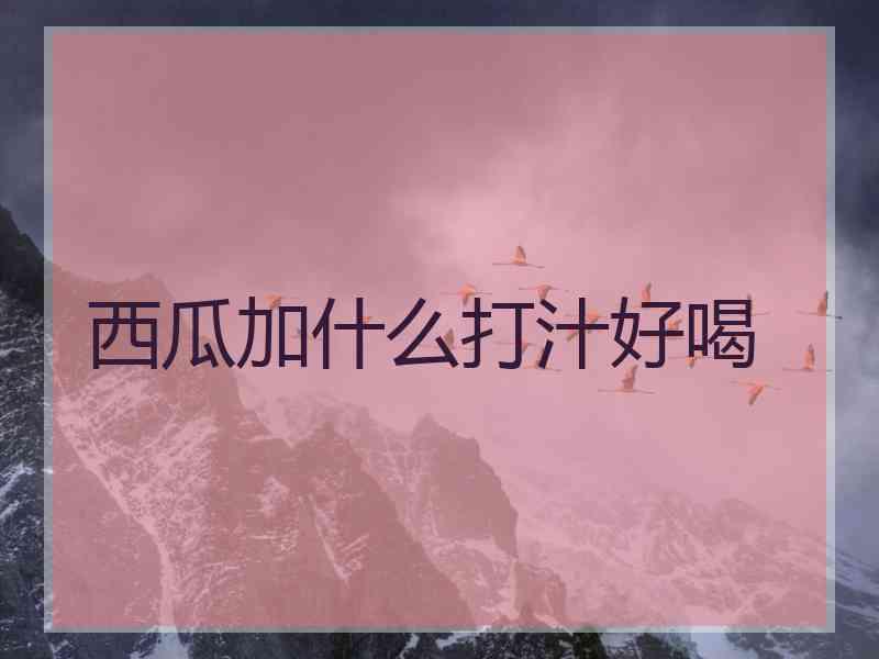 西瓜加什么打汁好喝
