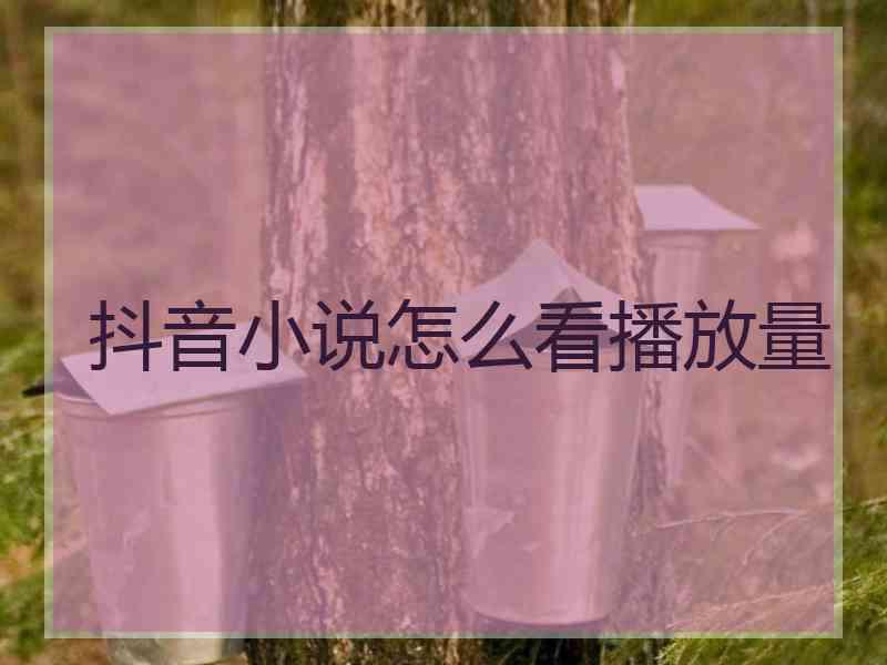 抖音小说怎么看播放量