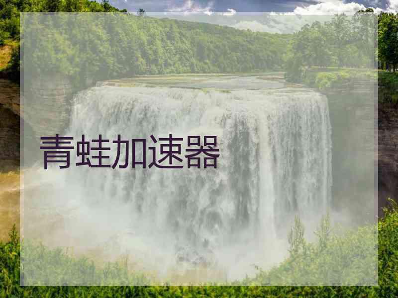 青蛙加速器