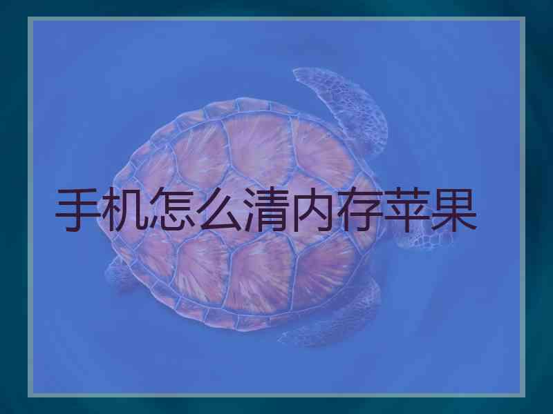 手机怎么清内存苹果
