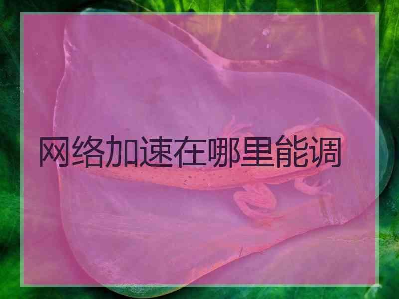 网络加速在哪里能调