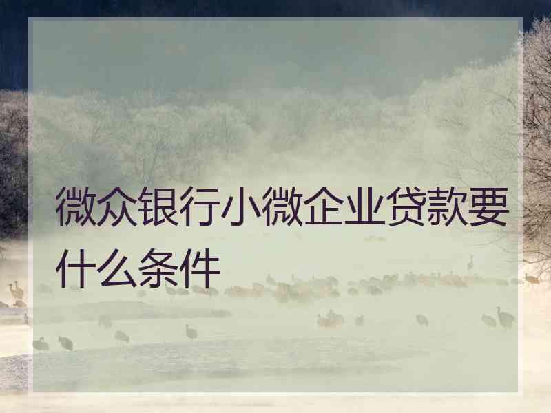 微众银行小微企业贷款要什么条件