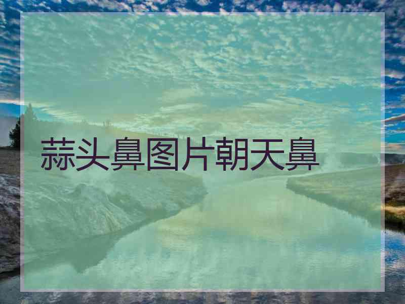 蒜头鼻图片朝天鼻