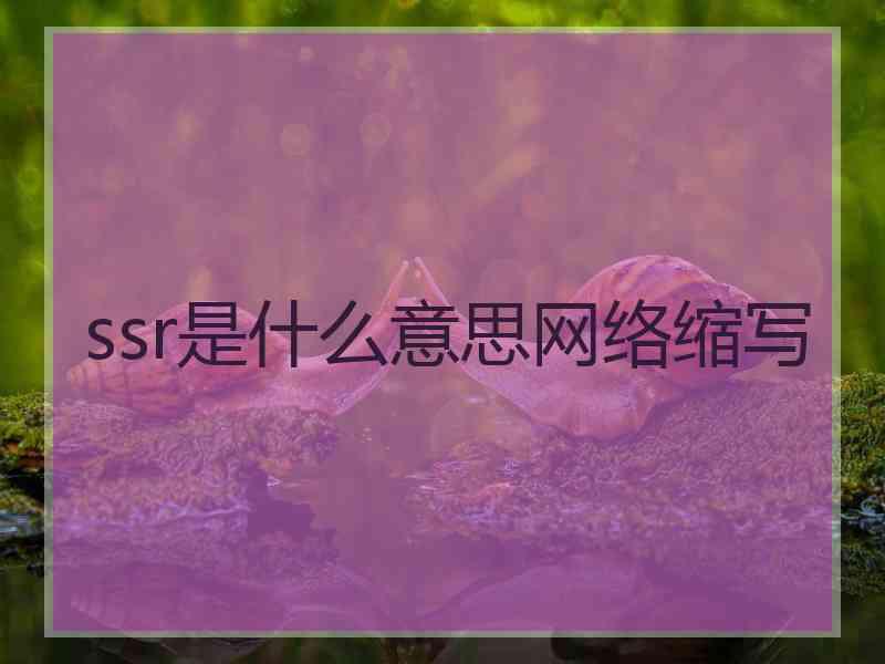 ssr是什么意思网络缩写