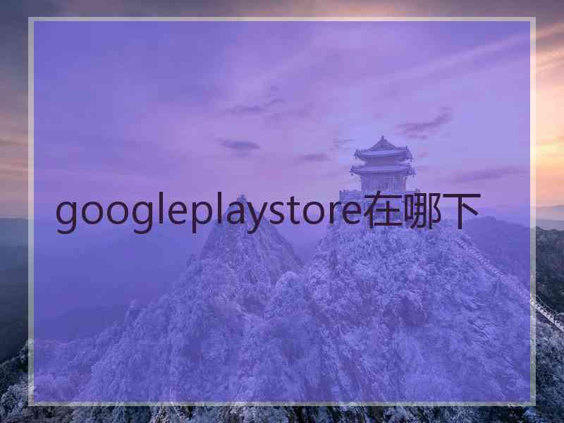 googleplaystore在哪下