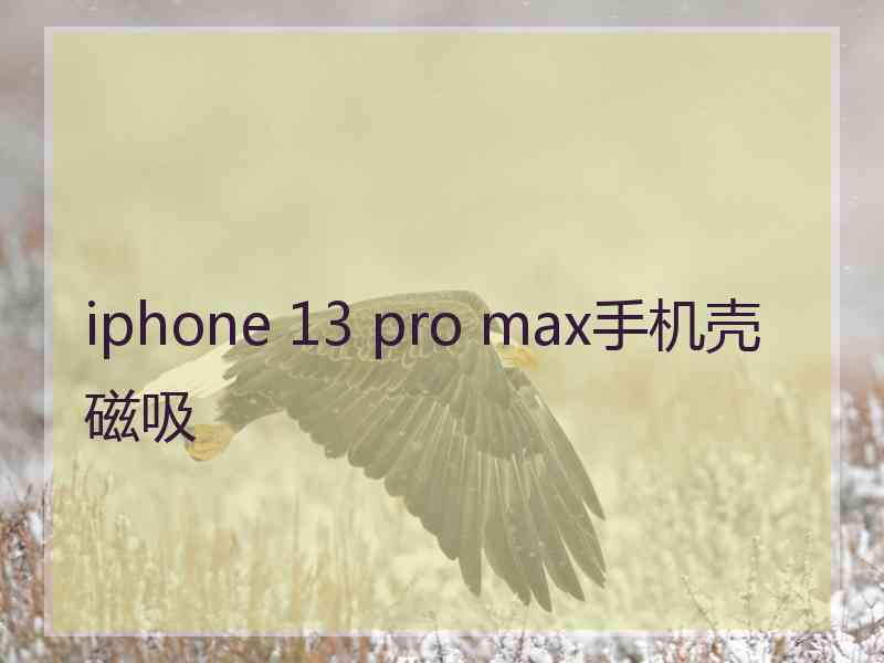iphone 13 pro max手机壳磁吸