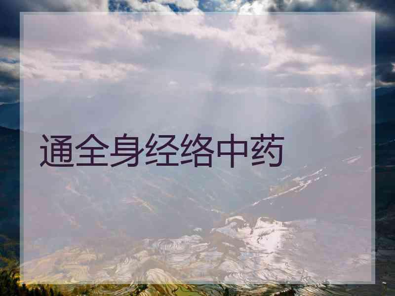 通全身经络中药