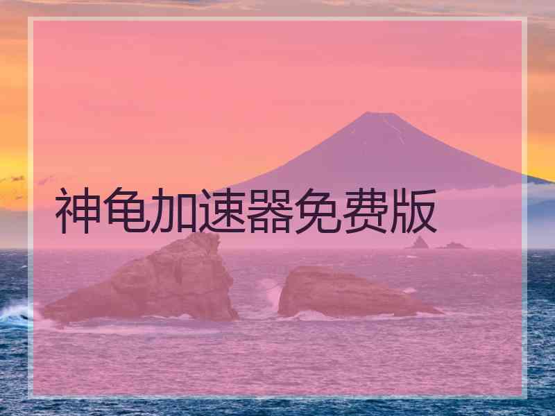 神龟加速器免费版