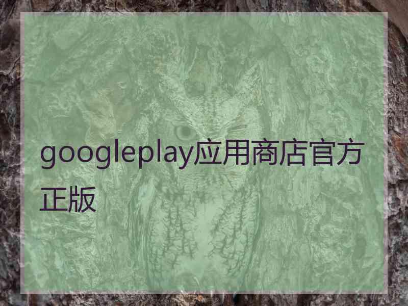 googleplay应用商店官方正版