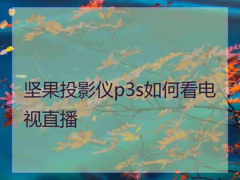 坚果投影仪p3s如何看电视直播